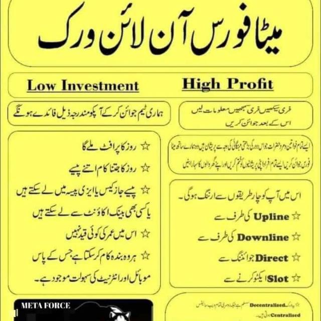 ONLINE Earning Meta froce work