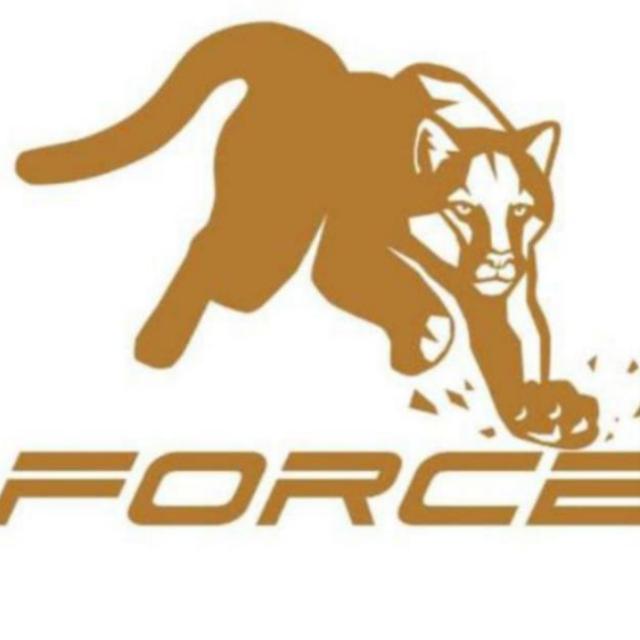 Metaforce Training Group