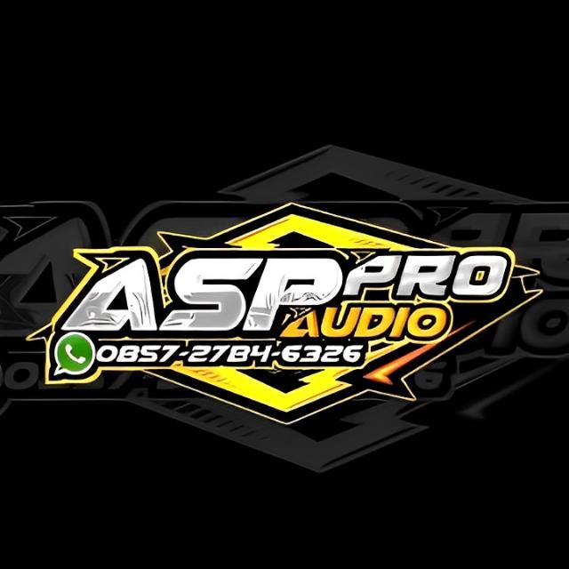 ASP AUDIO 