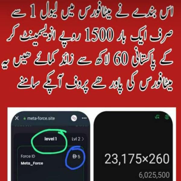 گھر بیٹھے پیسے کمائیں ?علی کے ساتھ