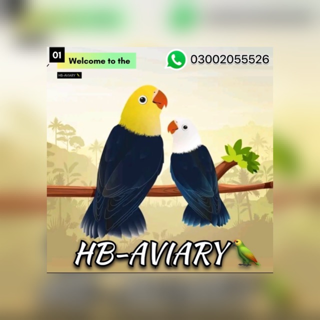 Hyderabad Birds -Selling & Buying ?