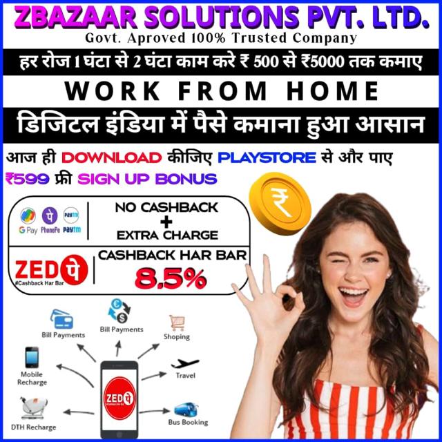 ONLINE WORK Zedpay