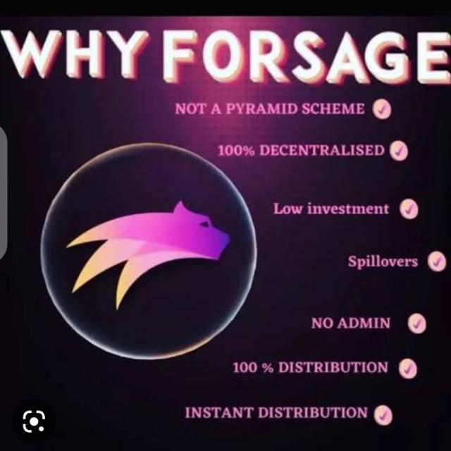 Forsage traning group