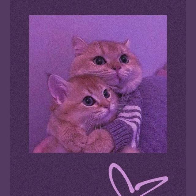 What's app videos ❤‍?