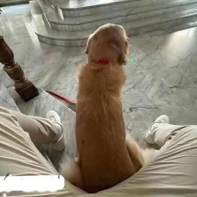 ?