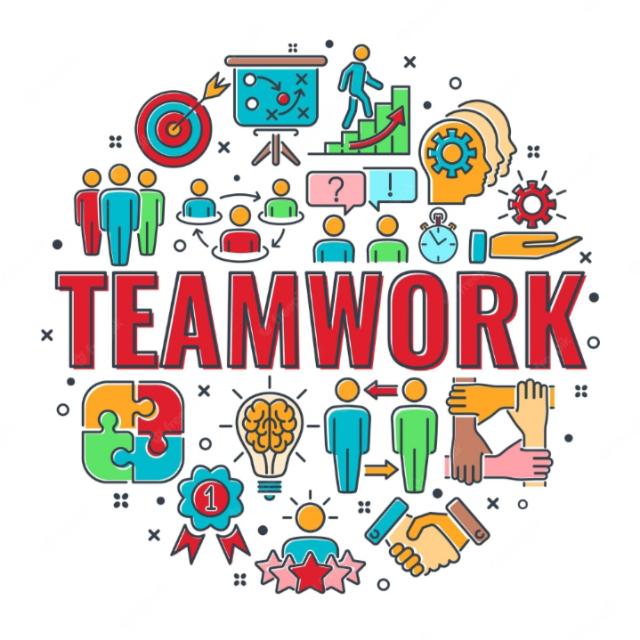 Forsage Team
