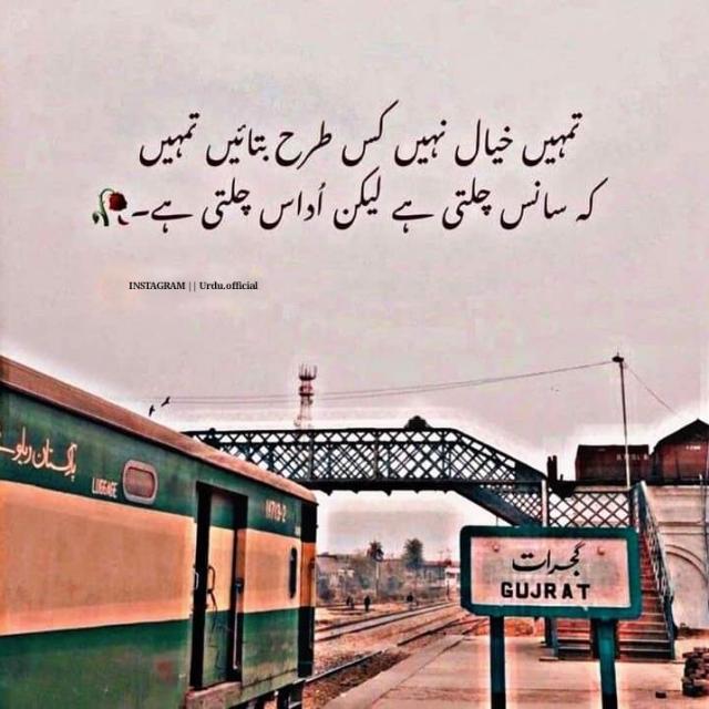 ?✍️ حلقہ ذوق شاعری✍?