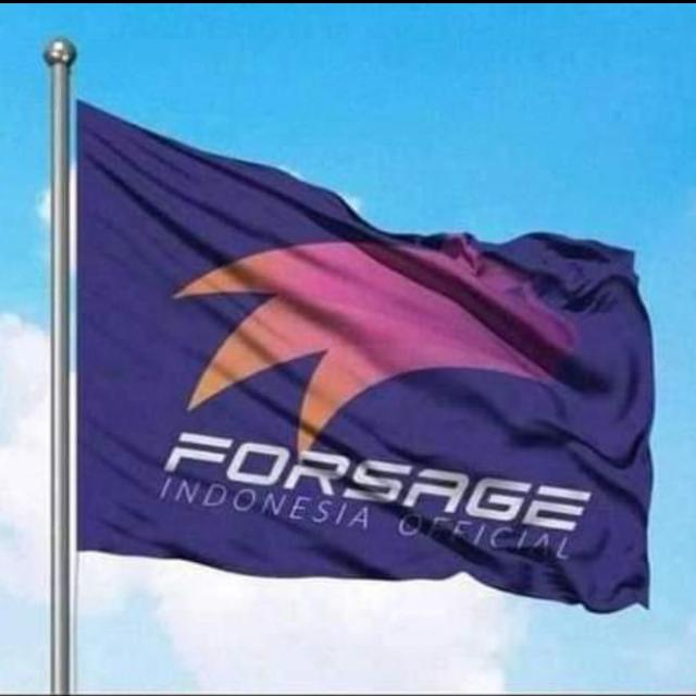 EarNing witH forSagE?