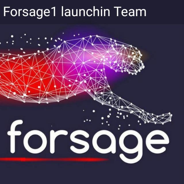 FORSAGE EARNING GROUP 100%????