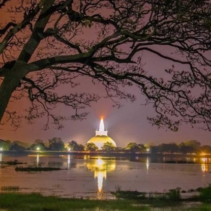 ☸️?ධර්ම මණ්ඩපය = 02? ☸️