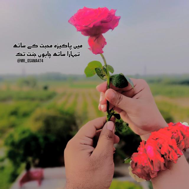 ??  تنہا تیرے بِن??