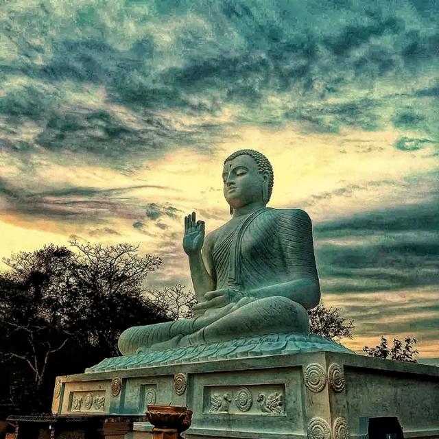 ?  යතාර්තය ?
