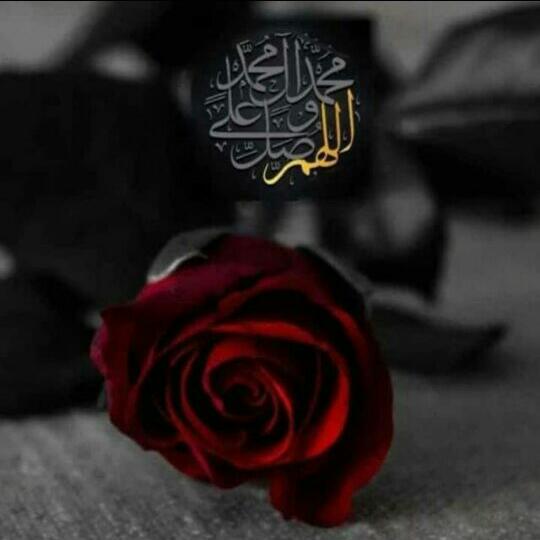 Only The God is Allah Whatsapp group