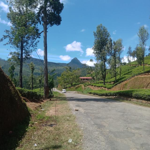 ?????? වැඩ්ඩෝ█▓▒░