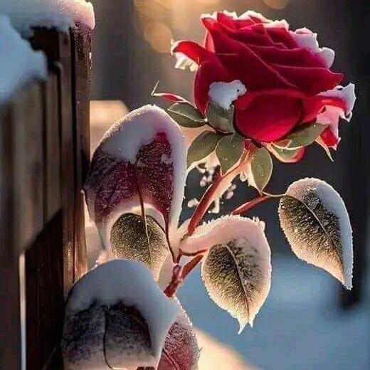 online work Whatsapp group