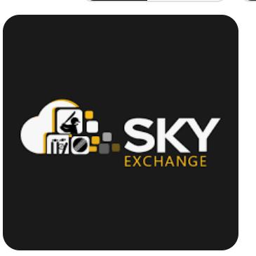 Sky exchange grupe