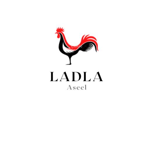 Ladla Aseel