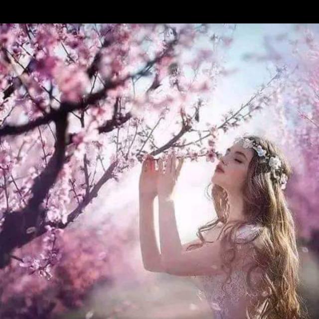 اسی سارے عاشق ❤‍?❤️??