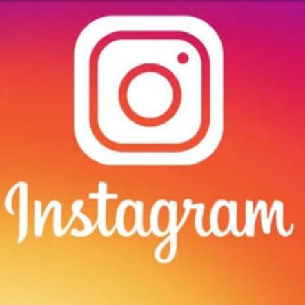 Instagram follower services ??