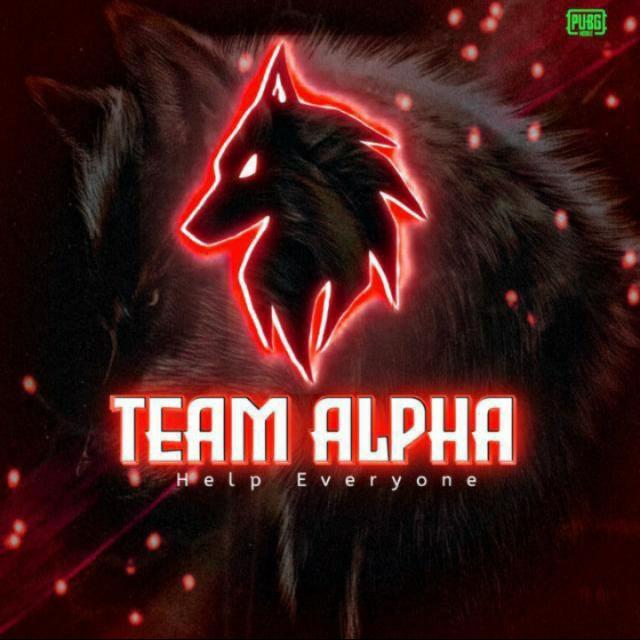 TEAM ALPHA Whatsapp group