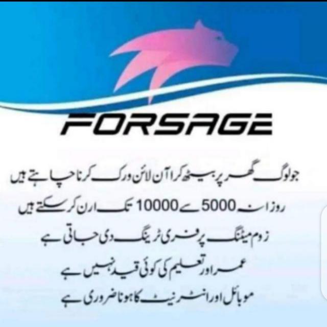 ?☀️No1 paltfom forsage team worrior??