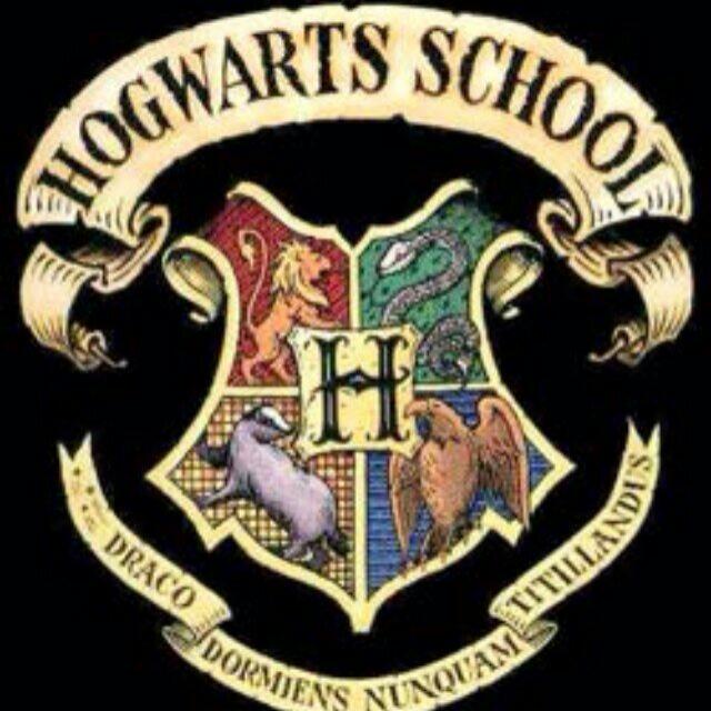 Hogwarts magic college ❤️???