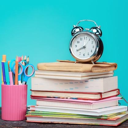 2024 AND 2025 O/L BATCH EXAM and PDF  MATHS , SCIENCE, TAMIL, ENGLISH ZOOM CLASS ✍️?✍️