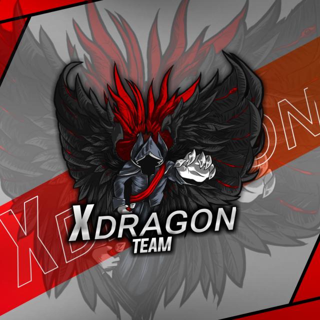 乂D R A G O N ? ◤ᴛᴇᴀᴍ☯