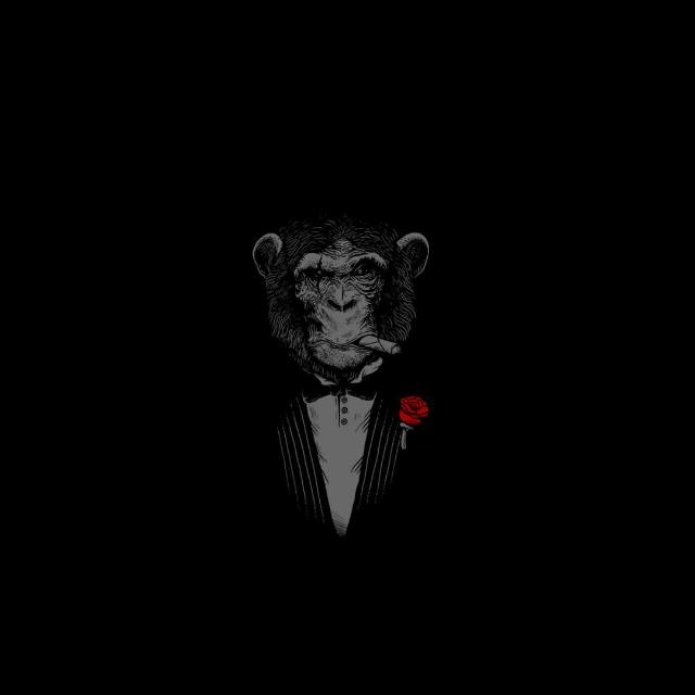 ᴡᴀʟʟᴘᴀᴘᴇʀs | ɴ | ʙɢᴍ  ✔︎