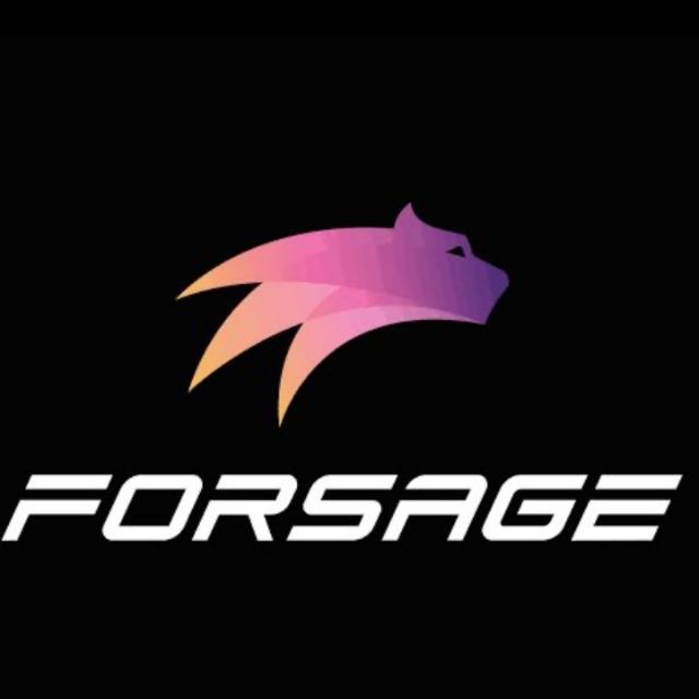 FORSAGE (Dreams come true)