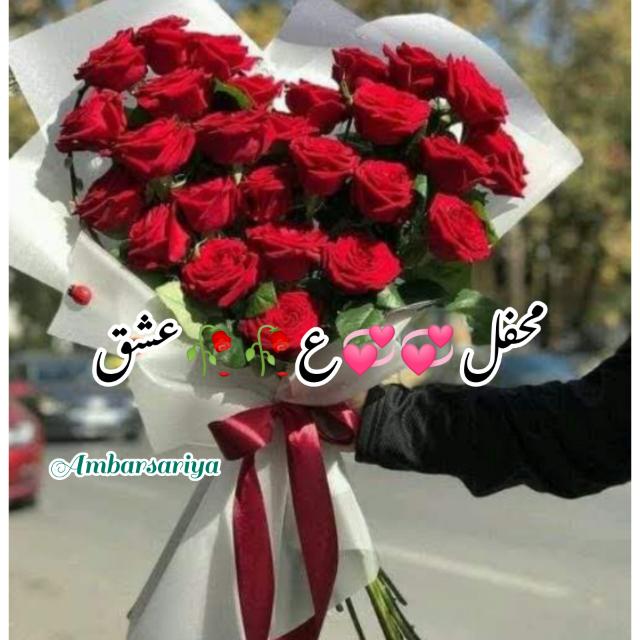 ❤️‍?محفل ع عشق ❤️‍?