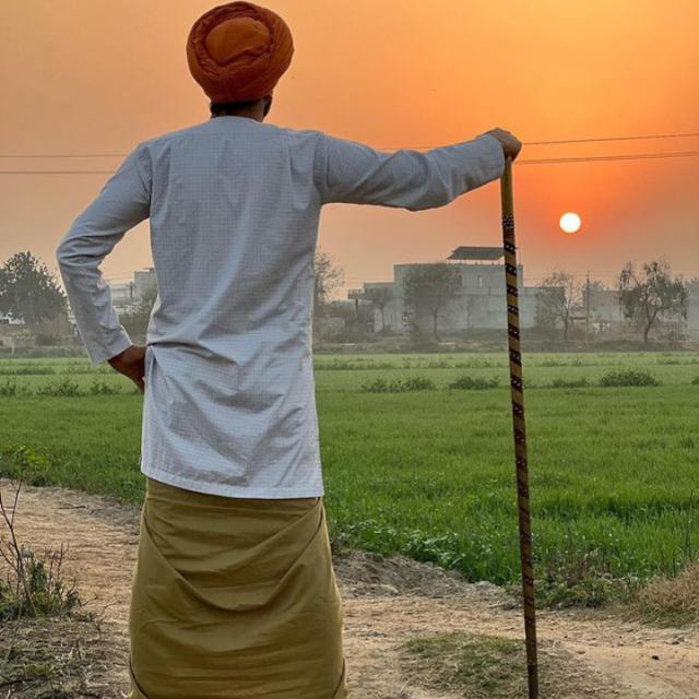 ਮੱਘਰ ਵੱਖੀਪਾੜ ?