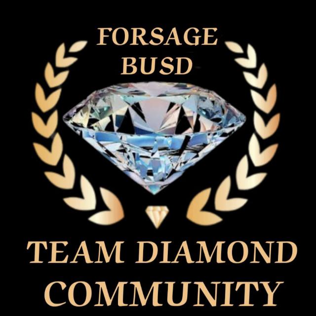 FORSAGE TEAM diamond ?
