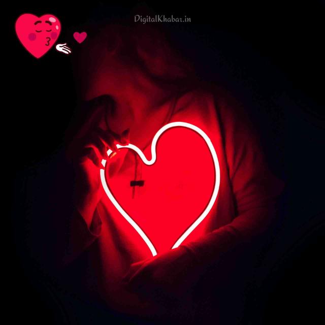 Love lamb