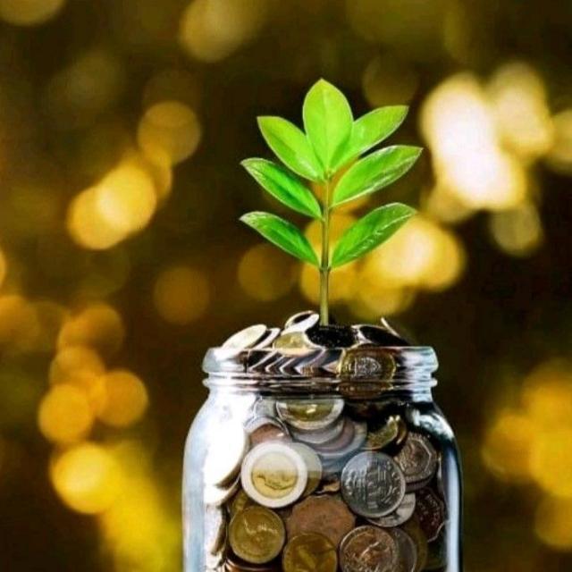 MONEY EARNING ???