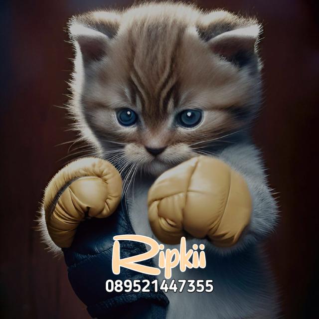 ALL GAME || RIPKI¹