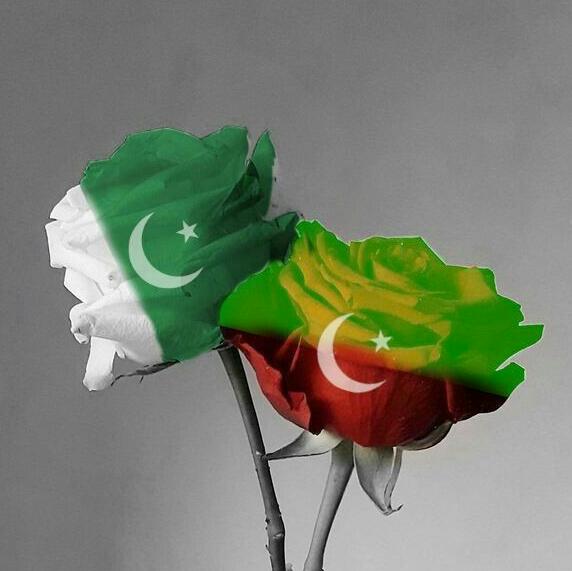 ????? بلوچ ? گروپ ?????