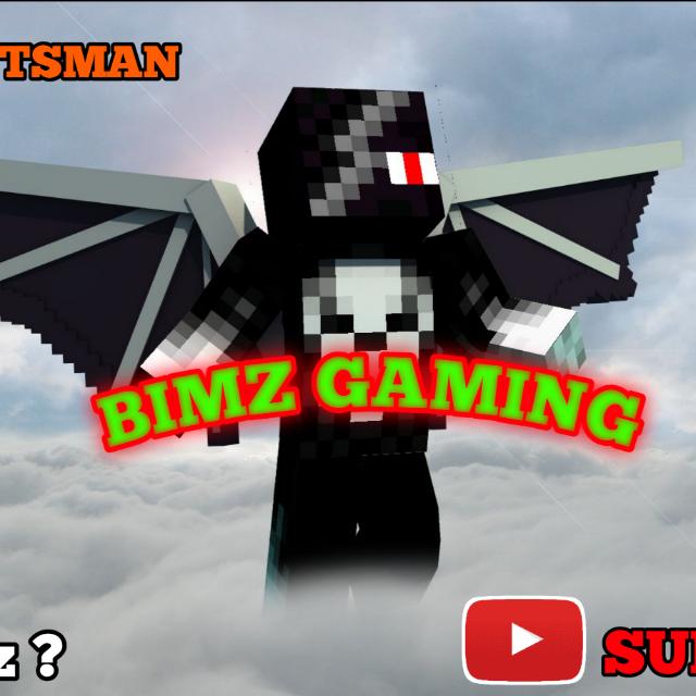 Subscriber BIMz GaMinG