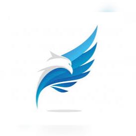 |Online money platform|$