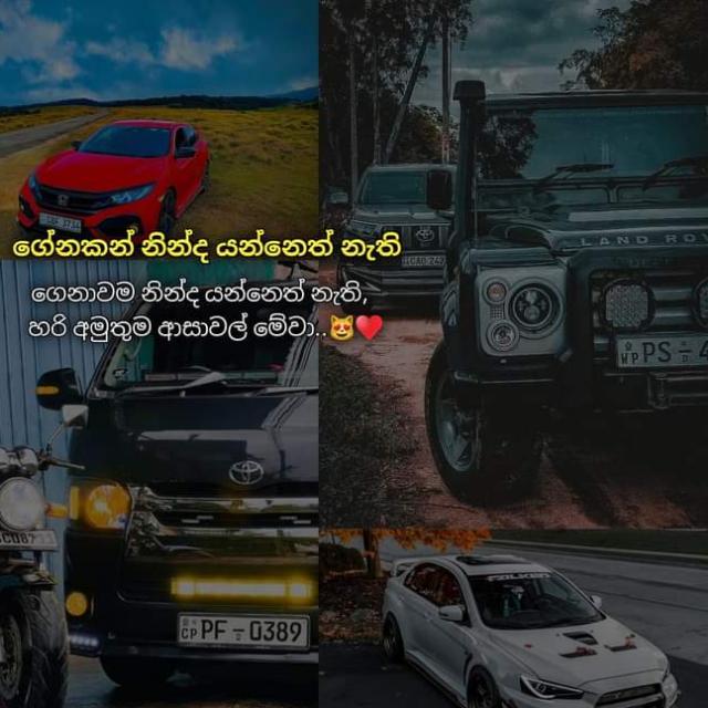with R Whatsapp group