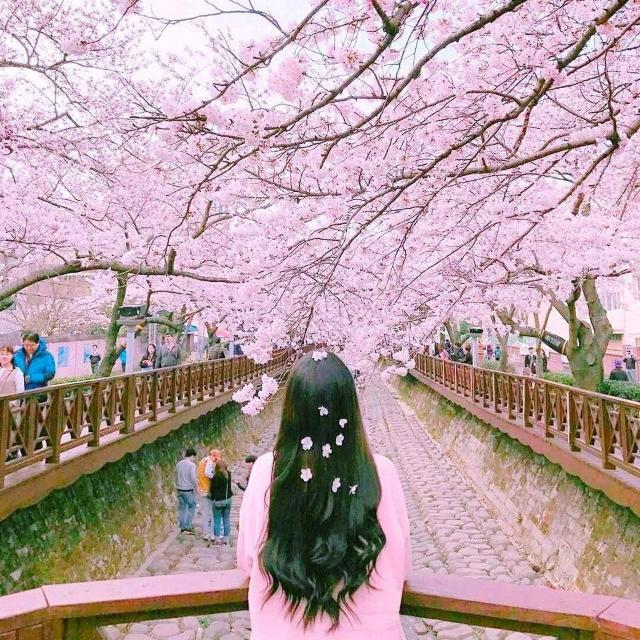 Dream Of Korean ❤️??