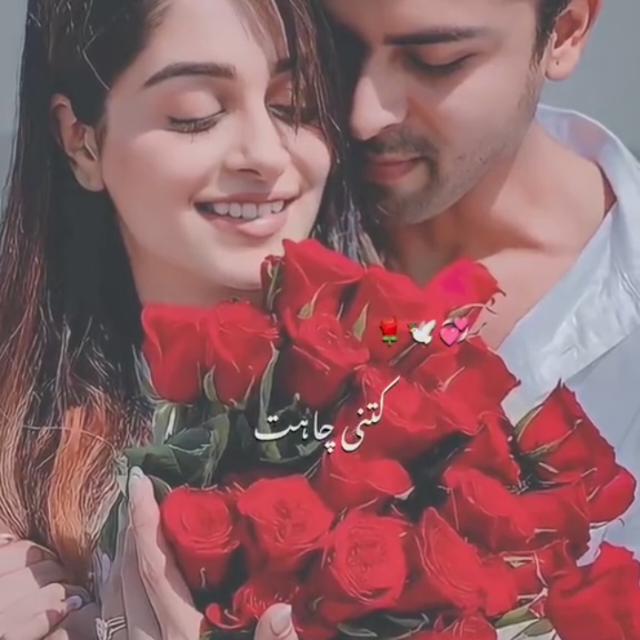 ?پیار کی ? دنیا ?✨