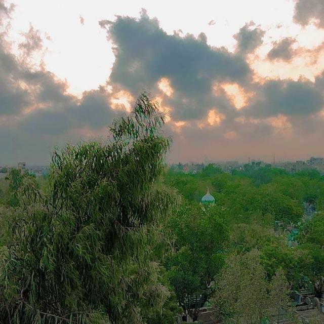 Amliyat