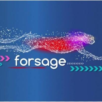 FORSAGE UNLIMITED EARNINGS 