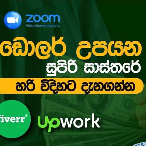 Fiverr Freelancer 