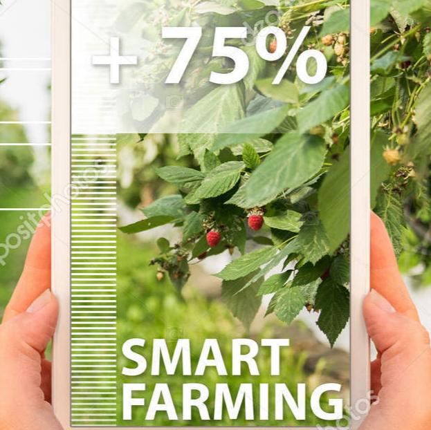 AGRO SOLUTION Whatsapp group