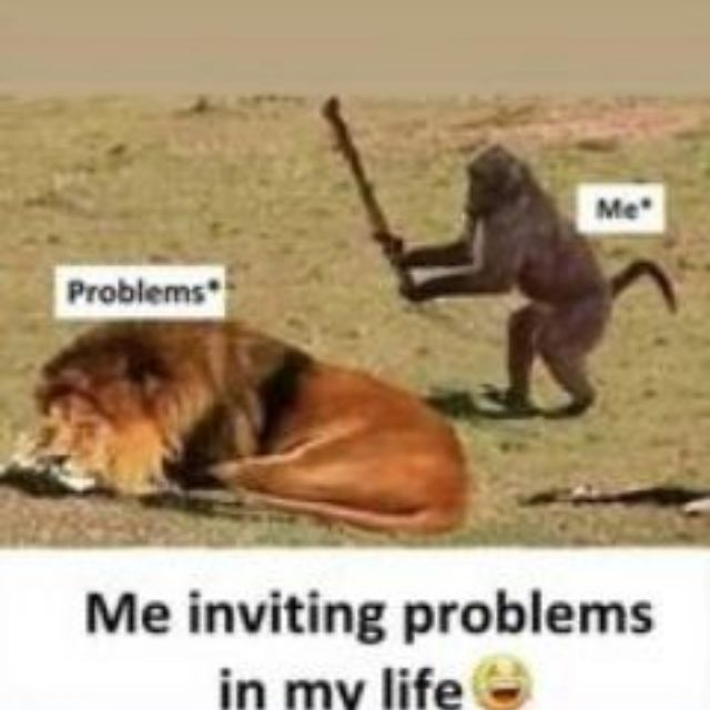 Fun time just night ? ?