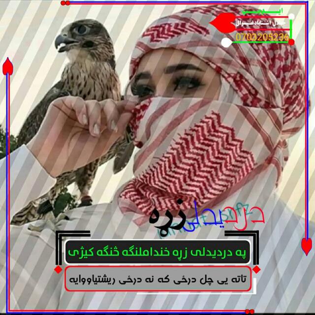 ?ده لېنکو ❤️ نړیوال ګروپ ?