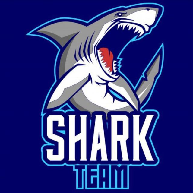 SHARK TEAM Whatsapp group