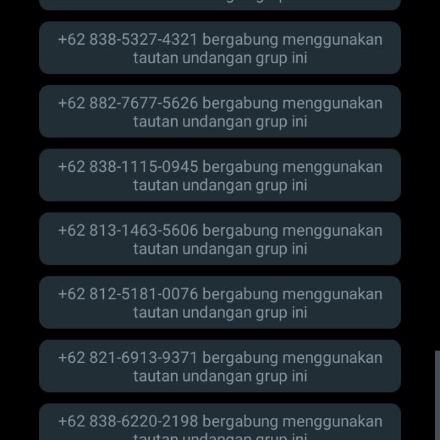 JPM KILAT BY BULL ELITE ?